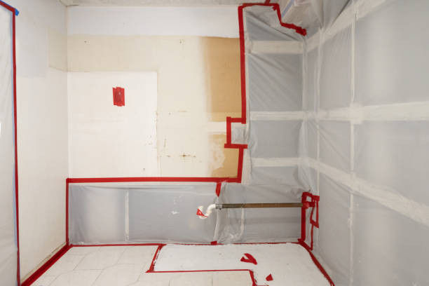 Best Biohazard Mold Removal  in Washington, PA